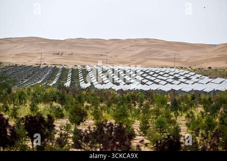 Erdos. 10 settembre 2025. Questa foto scattata il 10 settembre 2025 mostra la base fotovoltaica di Dalad Banner nel deserto di Kubuqi, nella regione autonoma della Mongolia interna della Cina settentrionale. Nel deserto di Kubuqi, file di pannelli solari blu si estendono attraverso la sabbia, trasformando il deserto in un mare di energia pulita. Negli ultimi anni, l'area ha adottato un modello di "controllo del deserto basato sul fotovoltaico", generando elettricità verde al di sopra e ripristinando l'ecosistema sottostante. Questo approccio non solo favorisce lo sviluppo di nuove energie, ma contribuisce anche a combattere la desertificazione. Crediti: Li Zhipeng/Xinhua/Alamy Live News Foto Stock