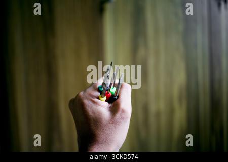 mani che tengono in mano molte varianti di cacciaviti piccoli Foto Stock