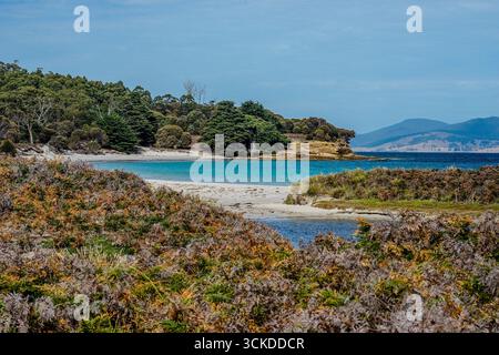 Paesaggio naturale panoramico su Maria Island Tasmania Foto Stock