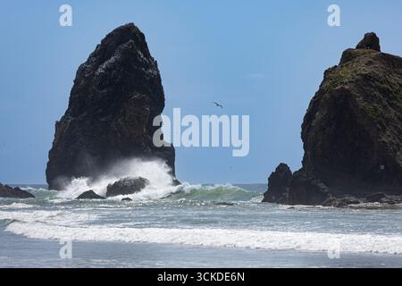 La roccia di Haystack sorge dall'Oceano Pacifico a Cannon Beach, Oregon, in questo raro primo piano soleggiato. Foto Stock