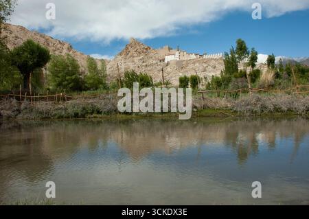 palazzo shey Foto Stock