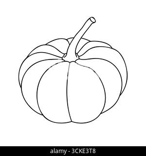 Illustrazione grafica a linee disegnata a mano per la zucca per l'hollyday autunnale Illustrazione Vettoriale