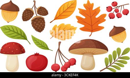 Set autunnale con foglie, funghi, bacche e ghiande Illustrazione Vettoriale