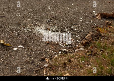 Primo piano di vetri rotti sparsi su asfalto con piccole rocce e sporcizia. Foto Stock