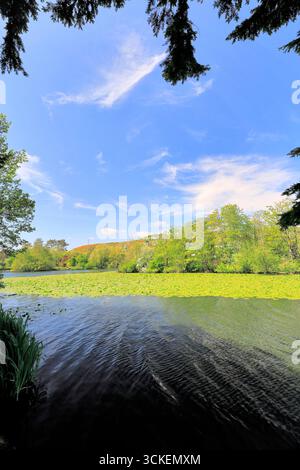 Vista estiva sul Mere Country Park della città di Scarborough, North Yorkshire, Inghilterra, Regno Unito Foto Stock