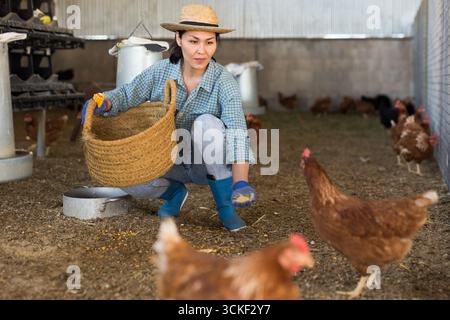 Donna kazaka nutre galline ovaiole Foto Stock