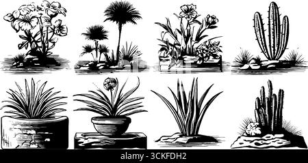 Illustrazioni botaniche d'epoca: Diverse specie vegetali e cactus in bianco e nero. Illustrazione Vettoriale