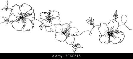 Disegno a mano di bordi di fiori di ibisco per progetti creativi. Illustrazione Vettoriale