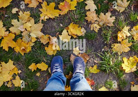 Vista dall'alto delle scarpe da uomo su uno strato di foglie d'autunno gialle. L'autunno cade alla luce del sole, camminando nel parco cittadino. I colori brillanti dell'autunno Foto Stock