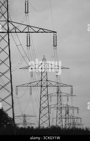 Vista di più piloni elettrici e linee di trasmissione in lontananza Foto Stock