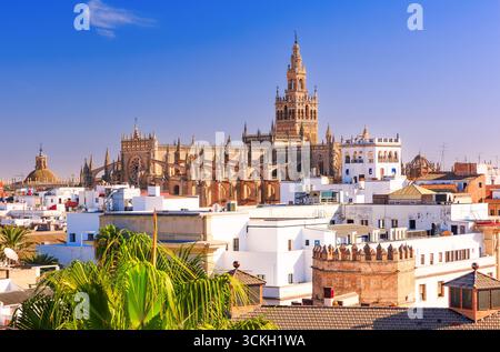 Siviglia, Spagna. Cattedrale di Santa Maria del vedere con la Giralda e la torre campanaria. Foto Stock