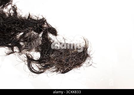 Ritagli di capelli brune isolati su sfondo bianco Foto Stock