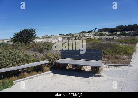 Panchine rustiche lungo il Sandy Coastal Trail in California Foto Stock