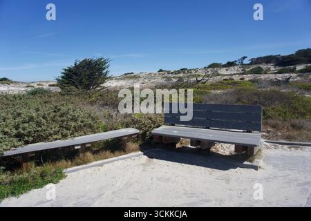 Panchine rustiche lungo il Sandy Coastal Trail in California Foto Stock