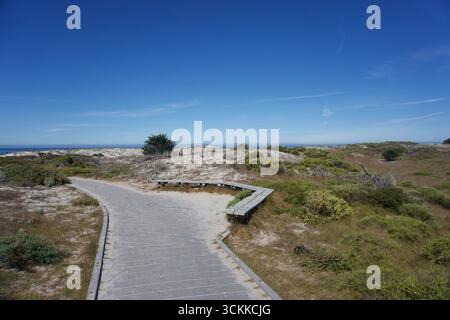Scenografica passerella in legno attraverso dune di sabbia che conducono all'Oceano Pacifico Foto Stock