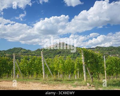 Castello di Monticello d'Alba sulla cima di una collina nella regione vinicola delle Langhe Roero, in Piemonte, con vista sui vigneti Foto Stock
