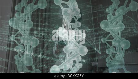 Elica a DNA trasparente centrale flottante che proietta in un'interfaccia virtuale con linee a griglia che visualizzano il codice Foto Stock