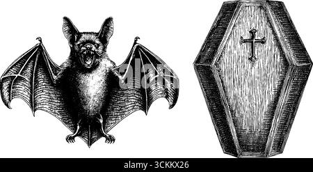 Set di illustrazioni gotiche incise con pipistrello vampiro e bara per halloween. Illustrazione Vettoriale