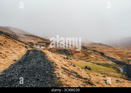 Paesaggio vulcanico islandese con vapore geotermico e formazioni di roccia nera. Golden Tundra, Misty Hills, Rugged Terrain, Atmospheric Fog, Islanda Foto Stock