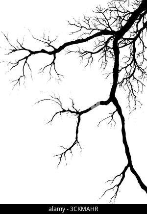 Texture astratta con radici sottili e rami germoglianti per un design ispirato alla natura. Illustrazione Vettoriale