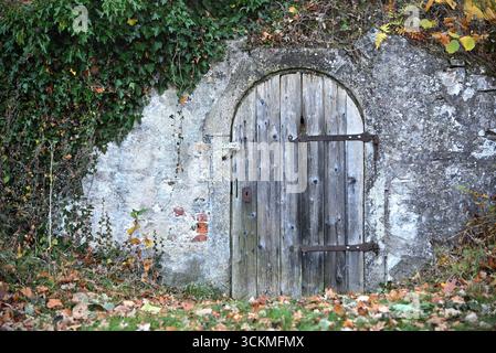Vecchia porta in legno con muro di pietra con edera e foglie d'autunno Foto Stock