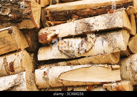Mucchio di legna da ardere di betulla impilato. Materiale in legno naturale per il riscaldamento. Dettagli sulle risorse di campagna rustica. Primo piano dello sfondo in legno tagliato. Foto Stock
