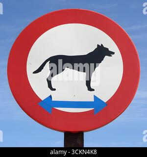 Cartello di divieto in Spagna con sagoma del cane e frecce, che indica che non sono ammessi cani sull'area erbosa. Foto Stock