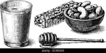 Illustrazione incisa di barrette di muesli, noci, bicchiere di yogurt e miele per spuntini salutari. Illustrazione Vettoriale