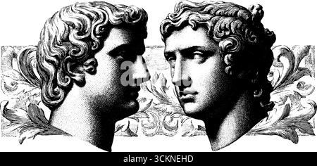 Illustrazioni neoclassiche di busti con intricate incisioni per il design artistico. Illustrazione Vettoriale