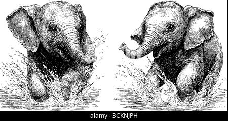 I piccoli elefanti giocosi si divertono a spruzzare in acqua - set di illustrazioni incise per le stampe. Illustrazione Vettoriale