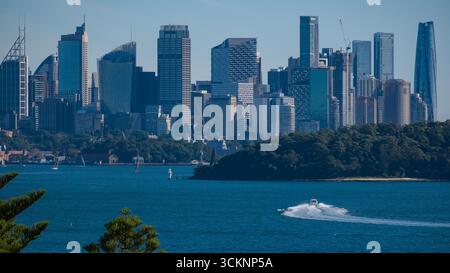 Un vivace skyline cittadino contrasta con acque tranquille e lussureggiante vegetazione, mostrando una miscela di sviluppo urbano e bellezza naturale, Watsons Bay, Syd Foto Stock