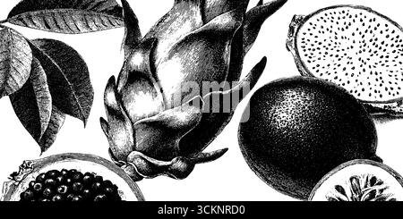 Illustrazione incisa di frutti esotici con frutta del drago e foglie tropicali. Illustrazione Vettoriale