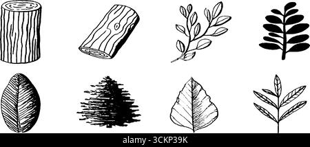 Originale set di schizzi botanici con tronchi di sequoia e illustrazioni di foglie. Illustrazione Vettoriale