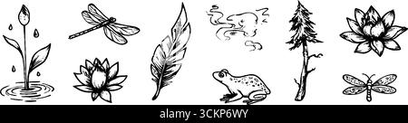 Una collezione di schizzi bizzarri di libellule e natura per un design creativo. Illustrazione Vettoriale