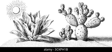 Oasi del deserto: cactus e fiori con dune di sabbia illuminate dal sole per un design naturale. Illustrazione Vettoriale