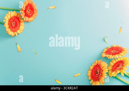 Fiori di gerbera arancia con petali sparsi su sfondo blu turchese. Vista dall'alto, disposizione piatta, spazio di copia. Foto Stock