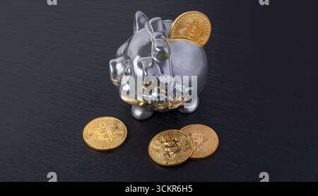 Bitcoin d'oro e salvadanaio d'argento su sfondo nero, che rappresentano il salvataggio di criptovaluta Foto Stock