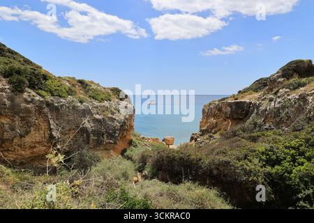 Barca a vela sulla costa dell'Algarve, Albufeira, Portogallo Foto Stock