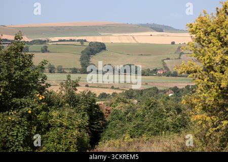 Una veduta del sud e della South Downs Way nel West Sussex che si affaccia sulla valle di Adur Foto Stock