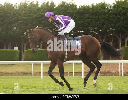 Delacroix guidato da Christophe Soumillon si prepara davanti al Royal Bahrain Irish Champion Stakes all'ippodromo di Leopardstown, Dublino, Irlanda. Data foto: Sabato 13 settembre 2025. Foto Stock