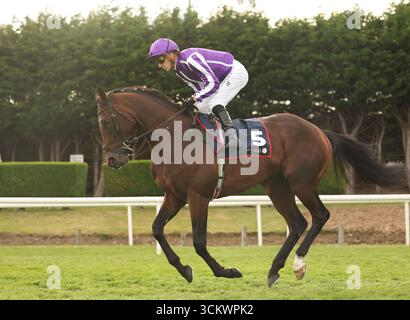Delacroix guidato da Christophe Soumillon si prepara davanti al Royal Bahrain Irish Champion Stakes all'ippodromo di Leopardstown, Dublino, Irlanda. Data foto: Sabato 13 settembre 2025. Foto Stock