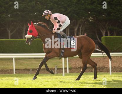 Hotazhell, guidato da Shane Foley, si prepara davanti al Royal Bahrain Irish Champion Stakes all'ippodromo di Leopardstown, Dublino, Irlanda. Data foto: Sabato 13 settembre 2025. Foto Stock