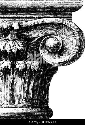 Complemento a spirale con incisione vintage per un design decorativo. Illustrazione Vettoriale