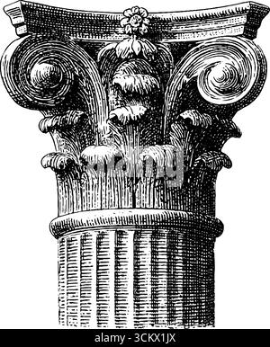 Ornamento dettagliato della capitale corinzia d'epoca per disegni di architettura classica. Illustrazione Vettoriale