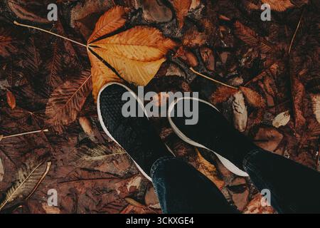 Passeggiata autunnale attraverso le foglie cadute. I piedi di una persona in sneakers nere sono visti camminare su un letto di foglie autunnali cadute, creando un ambiente accogliente e stagionale Foto Stock