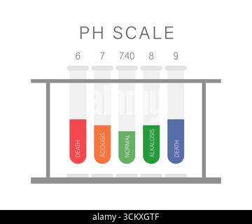 Scala del pH ematico. Livello normale di ph nel sangue umano. Concetto di assistenza sanitaria. Illustrazione del vettore piatto Illustrazione Vettoriale