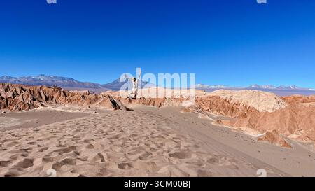 Donna turistica sportiva che fa il salto felice con le braccia sollevate sopra la testa sulla cima di una grande duna di sabbia, di fronte alla spettacolare vista del vulcano Licancabur Foto Stock