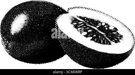 Fette di feijoa in mezzitoni vintage con nucleo granuloso per progetti di design retrò. Illustrazione Vettoriale