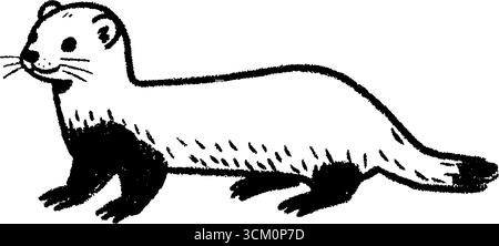 Schizzo disegnato a mano di un furetto in piedi con corpo lungo e sottile. Illustrazione Vettoriale
