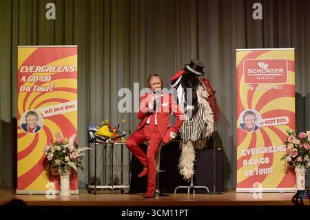 Bert Beel Live bei einem Konzert der Evergreens a Go Go mit Bert Beel - Tour im Bürgersaal Zehlendorf. Berlino, 13.09.2025 *** Bert Beel live in un concerto degli Evergreens a Go Go with Bert Beel Tour presso Bürgersaal Zehlendorf Berlin, 13 09 2025 foto:XM.xBehrensx/xFuturexImagex beel 5905 Foto Stock